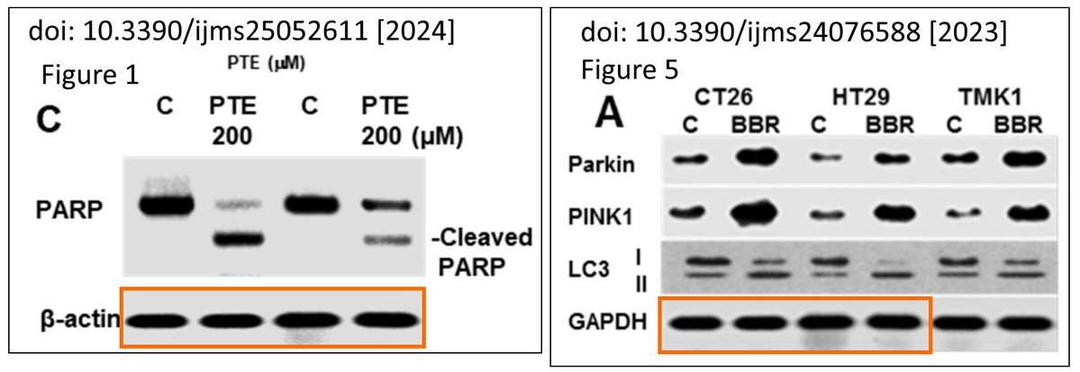 白楽ロックビル tweet media