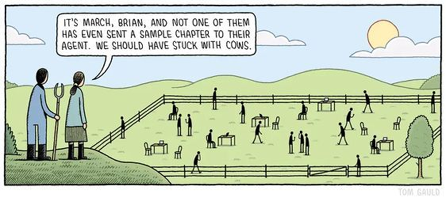 David Ranshaw tweet media