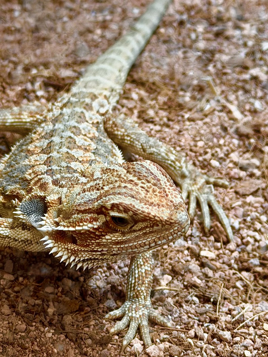 Alaska Guy tweet media