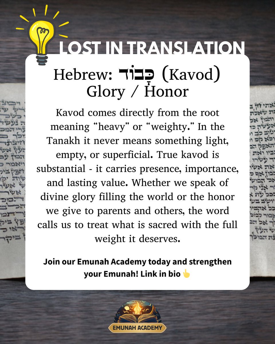 Rav Dror Moshe Cassouto tweet media