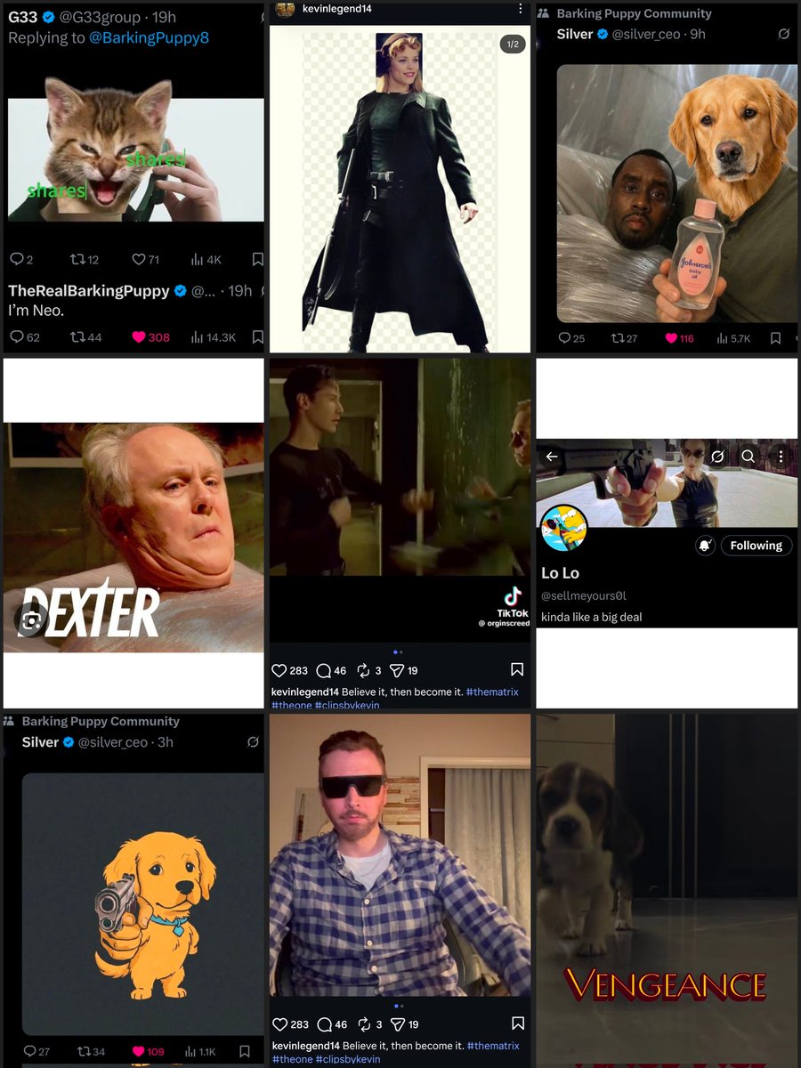 The Prophetic Outlaw tweet media