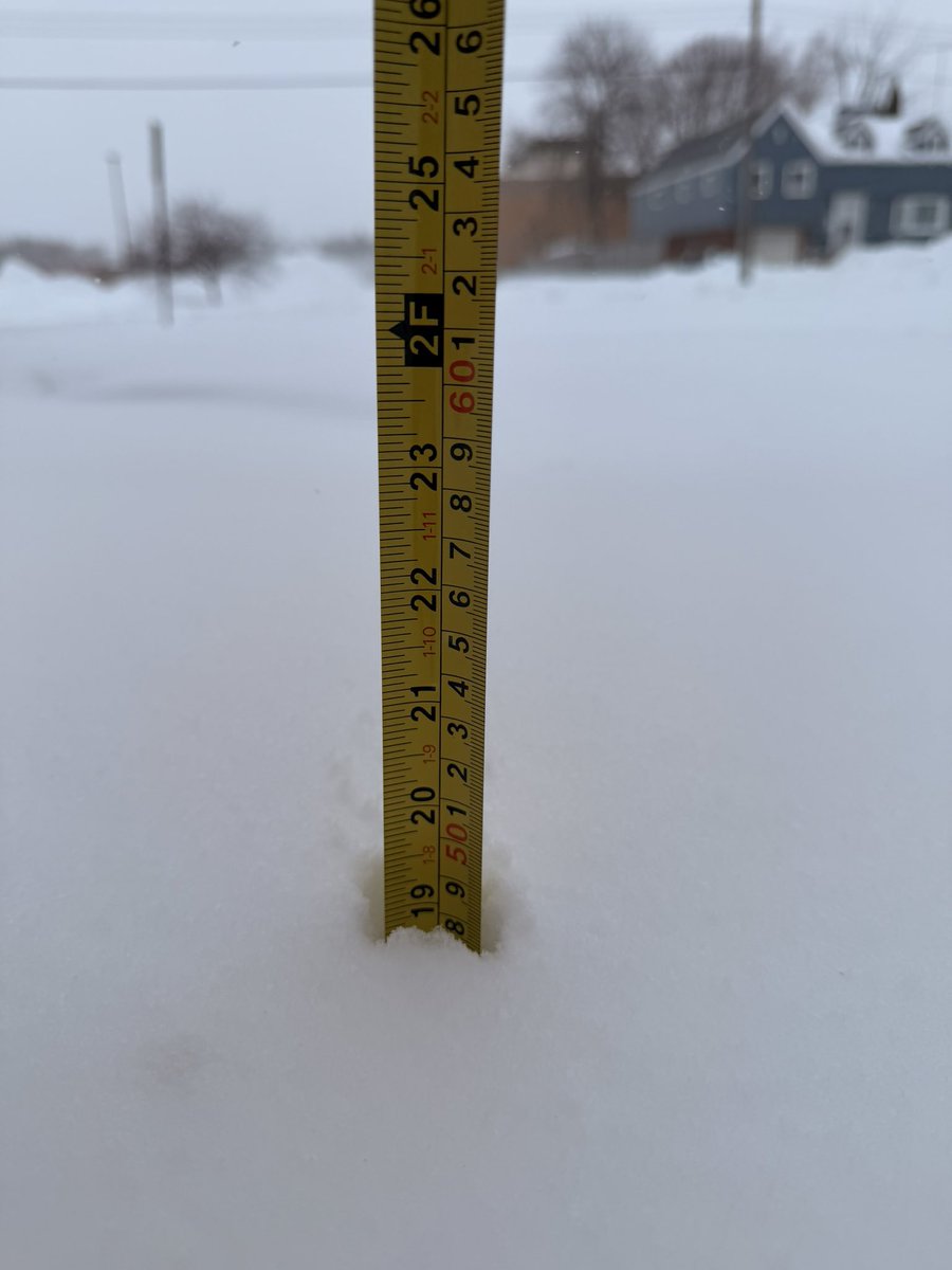 Wolf_Tradez 🐺 tweet media