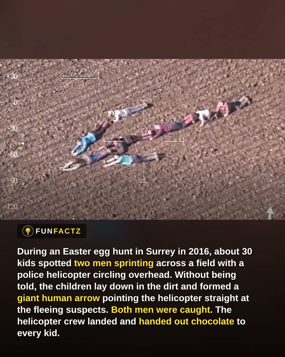 Fun Facts tweet media
