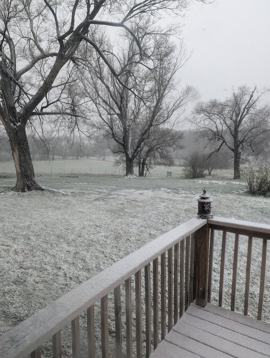 Irishman Biker tweet media