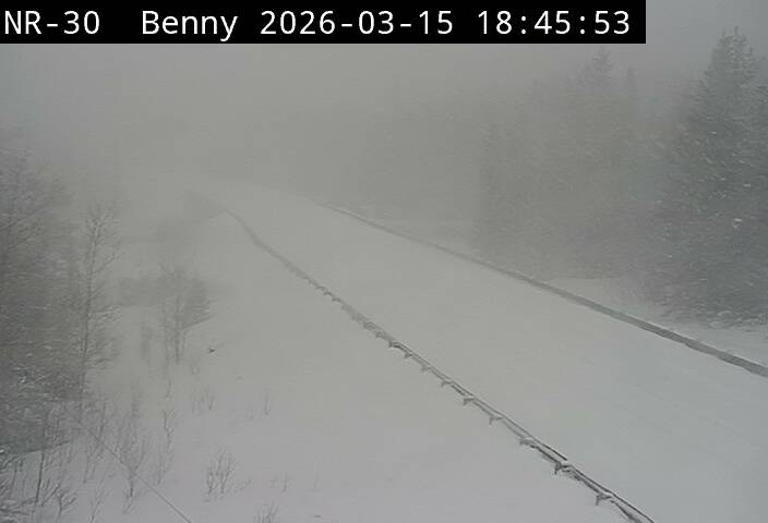 Rhythm Reet tweet media