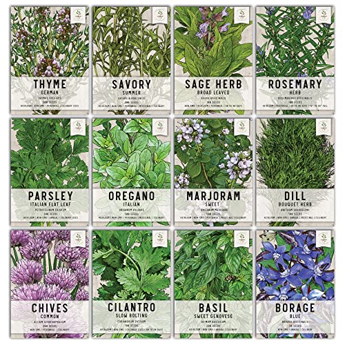 bookmarksical's tweet photo. I just received Seed Needs, Culinary Herb Seeds For Planting (12 Count Variety Pack) Grow Your Own Organic Herb Garden - Heirloom, Non-GMO, Untreated - 12 Pack from blueyedkat81 via Throne. Thank you! https://t.co/nBzaluLlQq #Wishlist #throne https://t.co/6zzVZBHznu