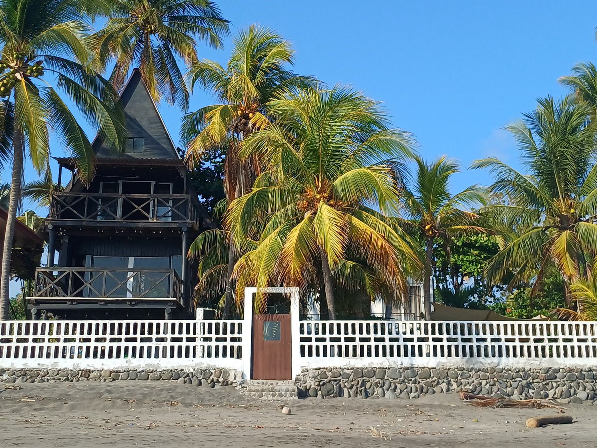 northnodes11 tweet media