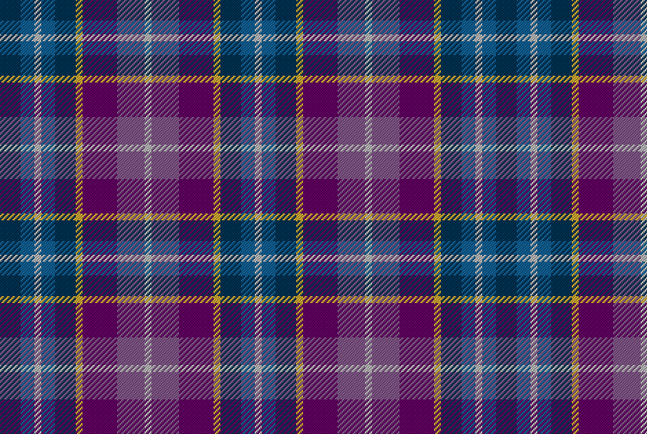 Tartan ARMYs 💜🏴⁷ tweet media