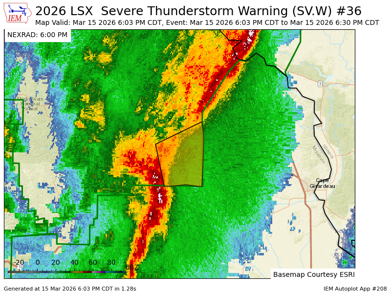Haley Fitzpatrick tweet media