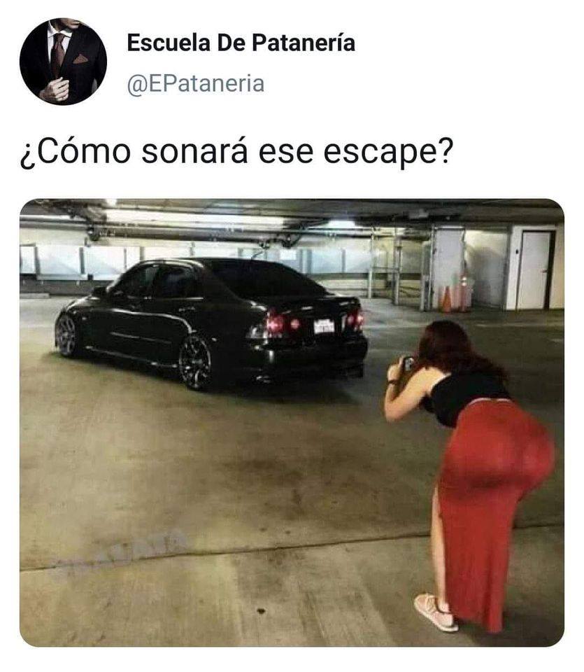 Memeteca tweet media