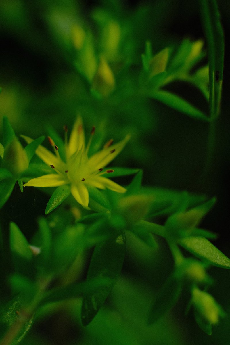 NSMatychuk's tweet photo. What's more important? #photography #fujifilm #fujix https://t.co/3nL2IjNWWo