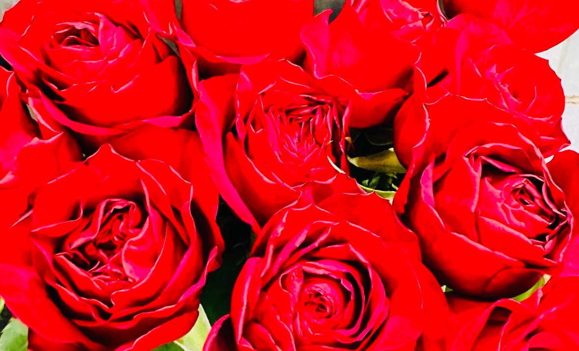 杉山翔哉 tweet media