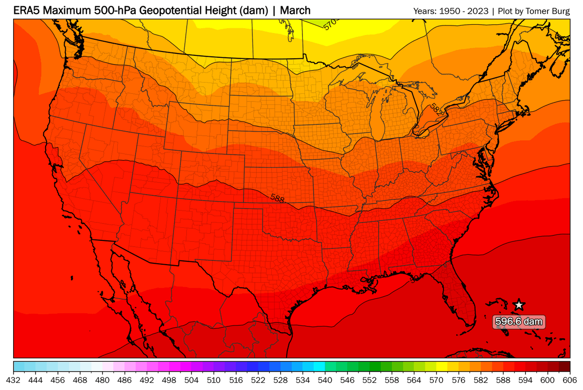 Tomer Burg tweet media