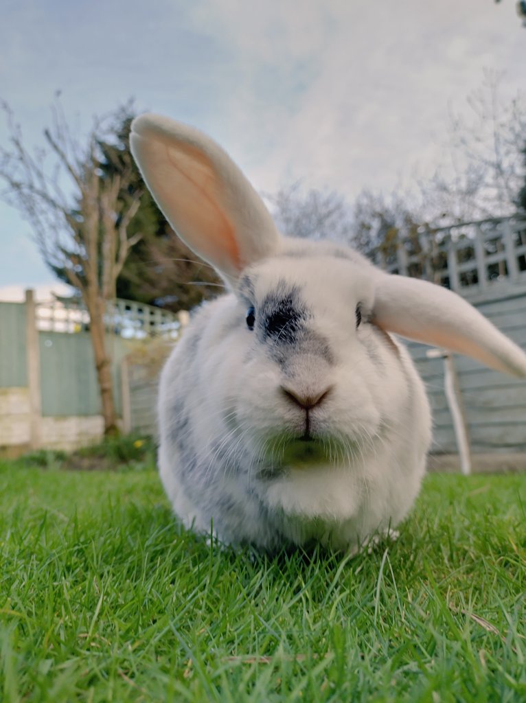 Captain Albert tweet media