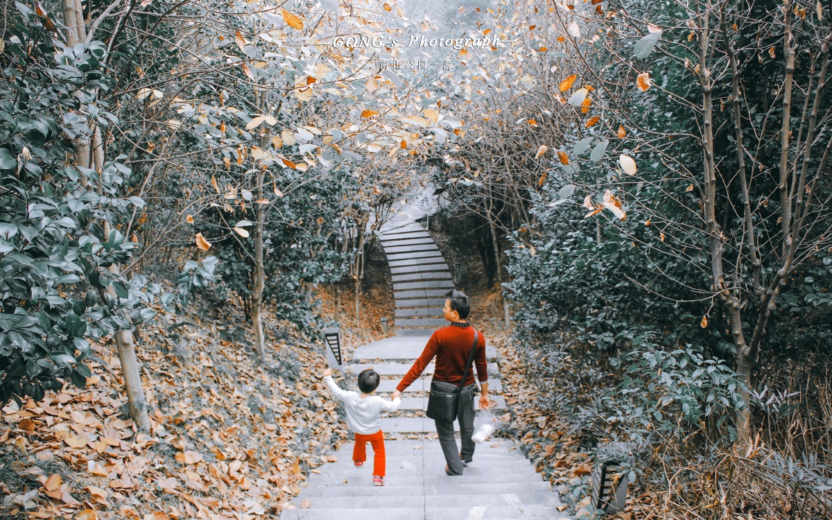 JTurmore's tweet image. Community Clean-Up Day!  Join us this Saturday (Oct 14) at 9 AM at Maple Park! Bring gloves/bags—we’ll tidy the lake shore + plant 20 native flowers. Snacks + a group photo reward! Tag a neighbor  #MapleCommunity #KeepOurSpaceGreen