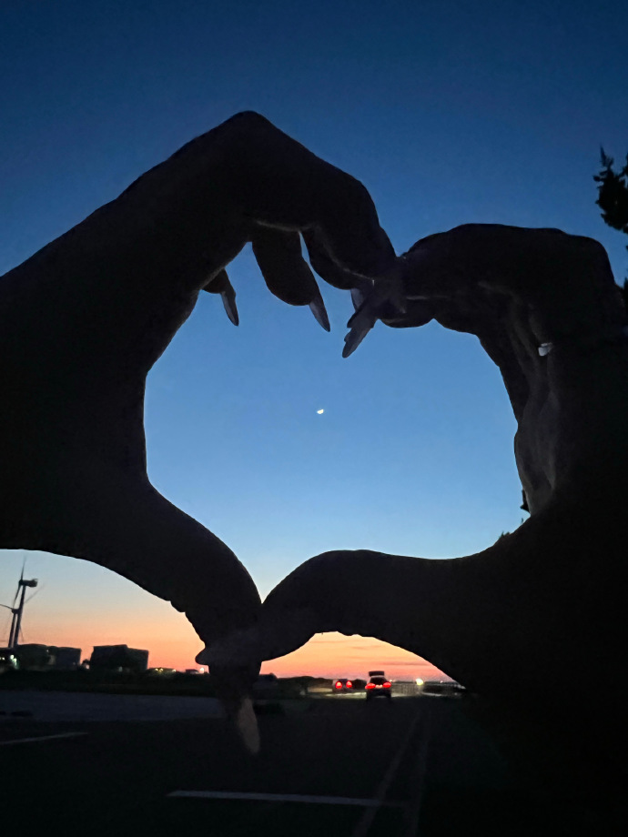 lyka fernandez tweet media