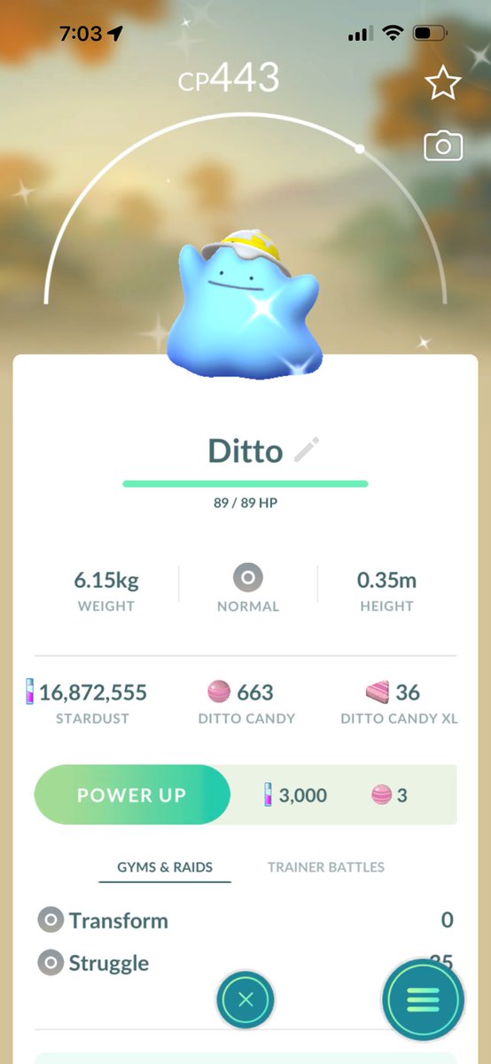 BrandonR24 tweet media