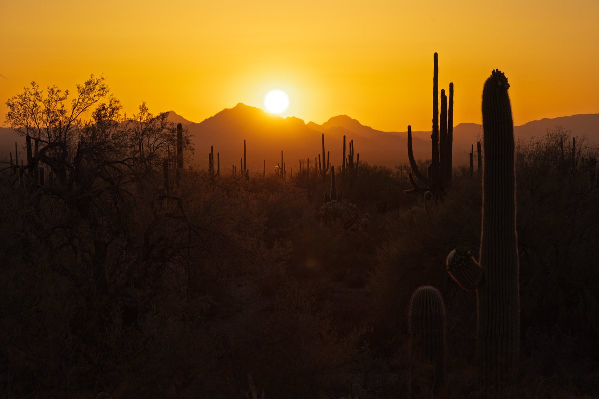 Show Me America tweet media