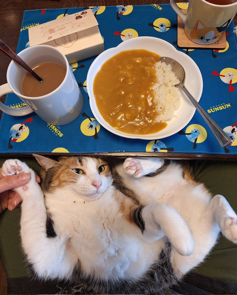 にこちゃまちゃんぬる tweet media