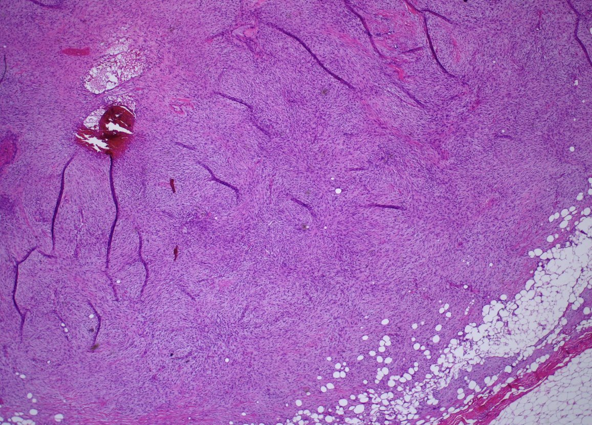 Brown Pathology and Laboratory Medicine tweet media