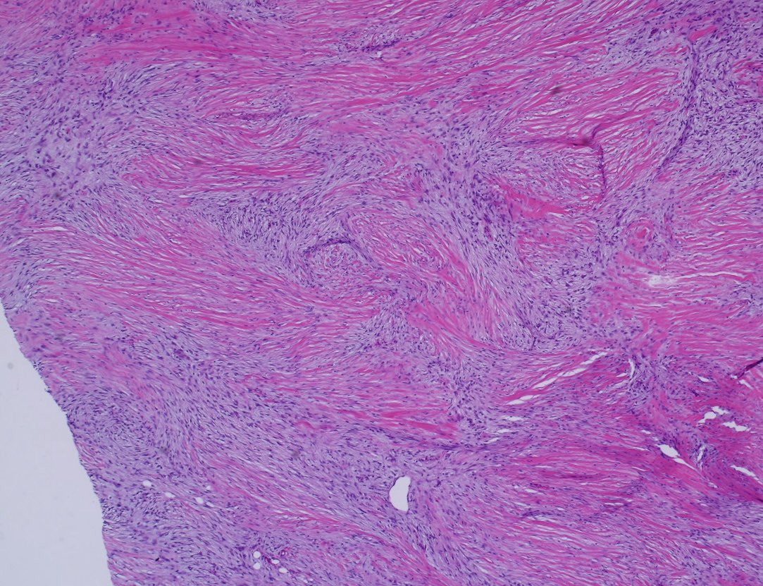 Brown Pathology and Laboratory Medicine tweet media