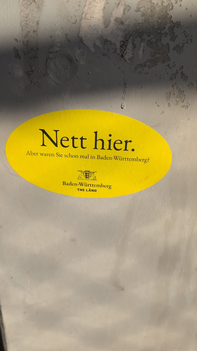 Ryleyyy 🦴 ✨➡️WAFF26 tweet media