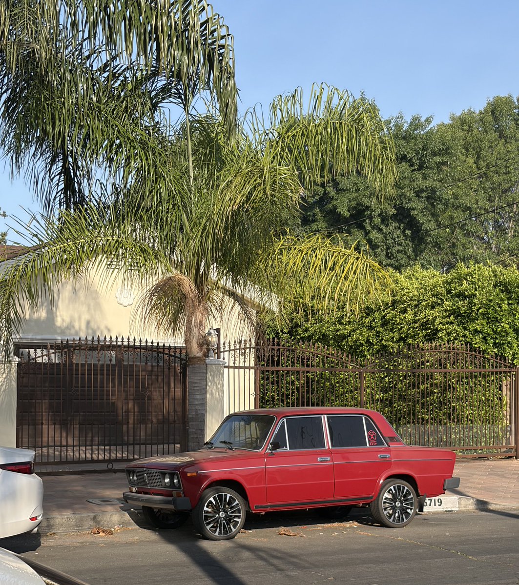 Поля Гусева 🕊️ tweet media