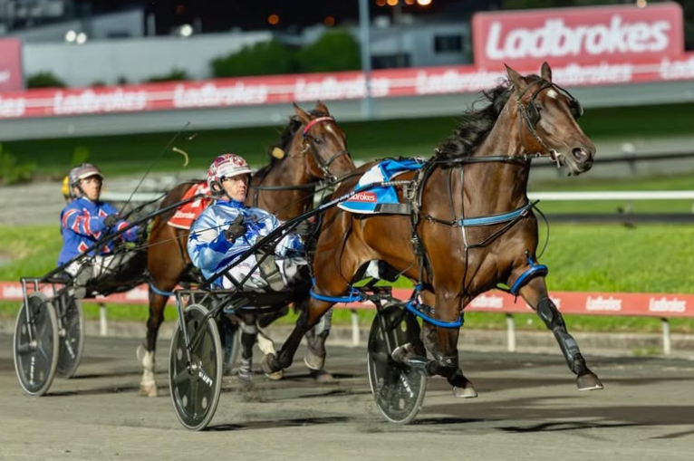 Northern Rivers Equine & Llowalong Farms tweet media