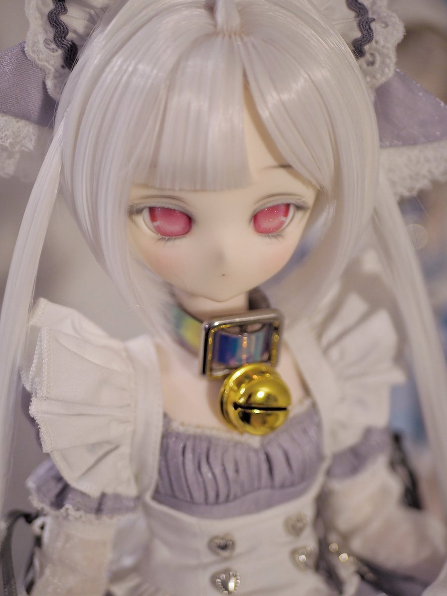 第一次用相机拍🥰晚上光线不好也很棒