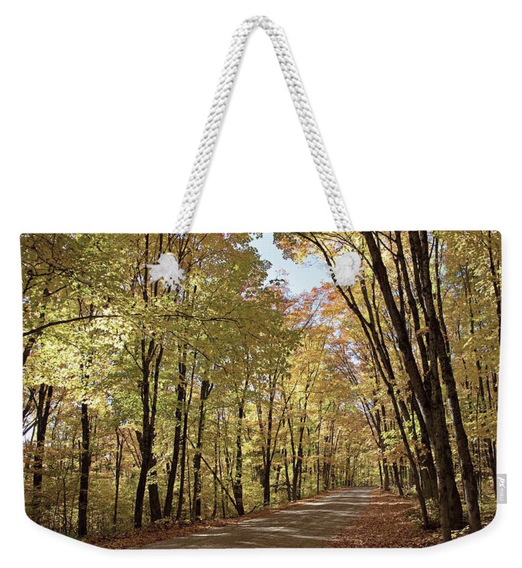 shonna99784's tweet image. Pathway Through Algonquin Woods, Algonquin Park, South Nipissing, Ontario - Weekender Tote Bag shonna-hawkins.pixels.com/featured/pathw…

Wonderful bags.

#Pathway #AlgonquinWoods #AlgonquinPark #SouthNipissing #Ontario #Weekender #ToteBag #Gifts #GiftIdeas #ShonnaHawkinsPixels #BuyIntoArt