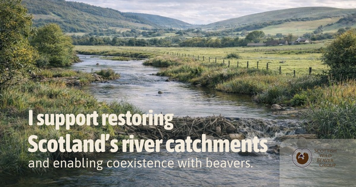 Dominic Ashmole tweet media