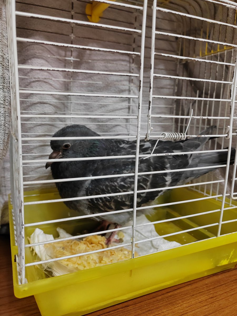 RMYSA ‏ﺦ tweet media