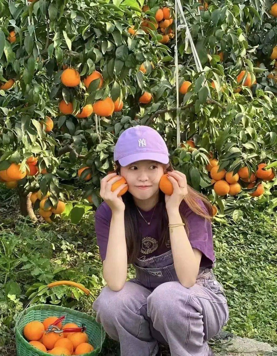 lisa gasparetto tweet media