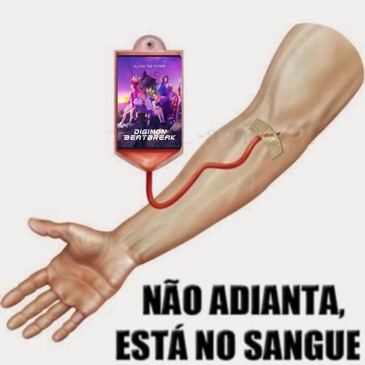 Nokasinha👾 tweet media