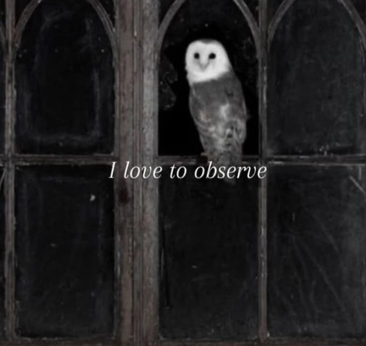 goth aesthetics tweet media