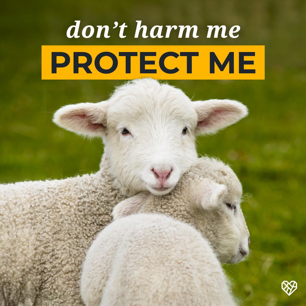 The Humane League tweet media