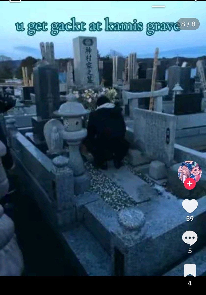 V系tt wild screenshot/video tweet media