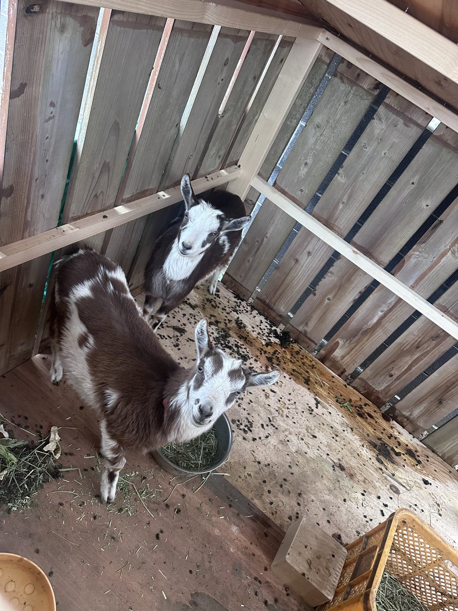 飯島一貴 tweet media