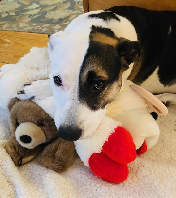 Lisa Burkin tweet media