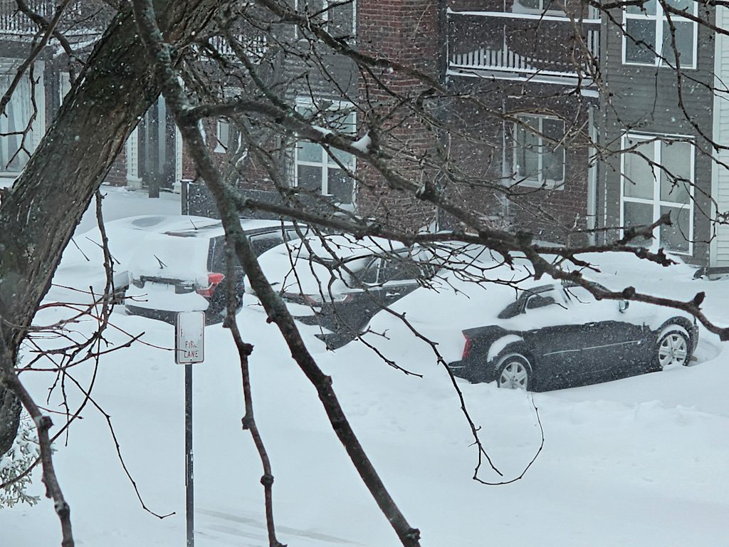 Vita Leonis tweet media