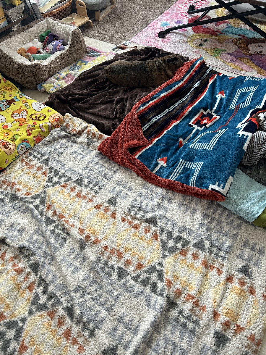 あんちゃん tweet media