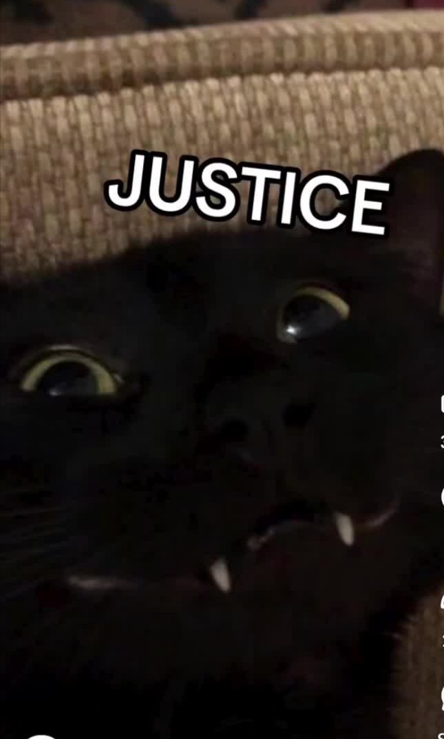 Nox 🔞 tweet media