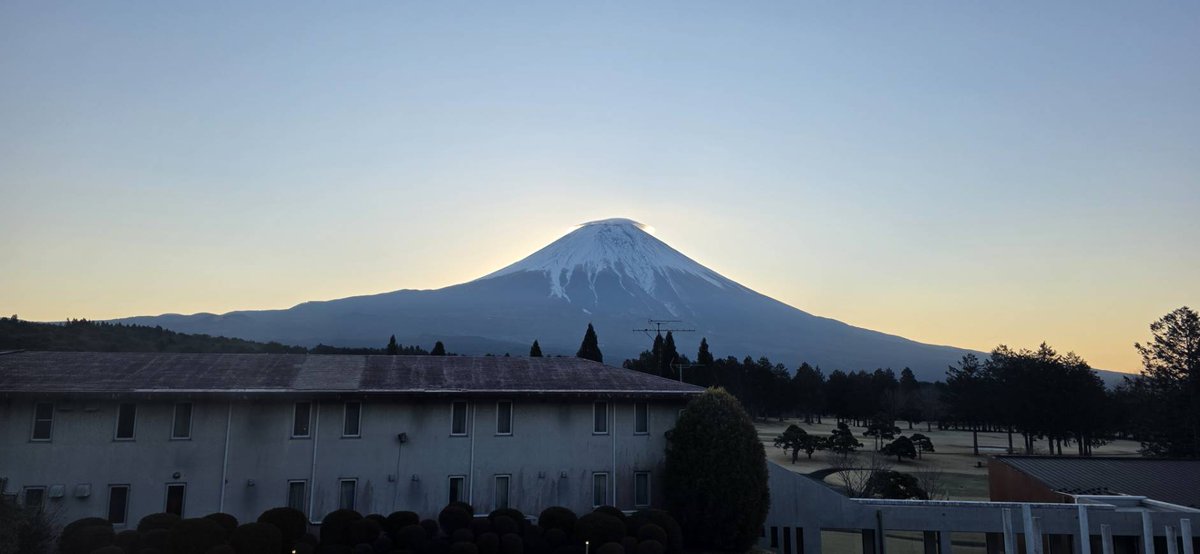 dssy (ディジィー)🟩 tweet media