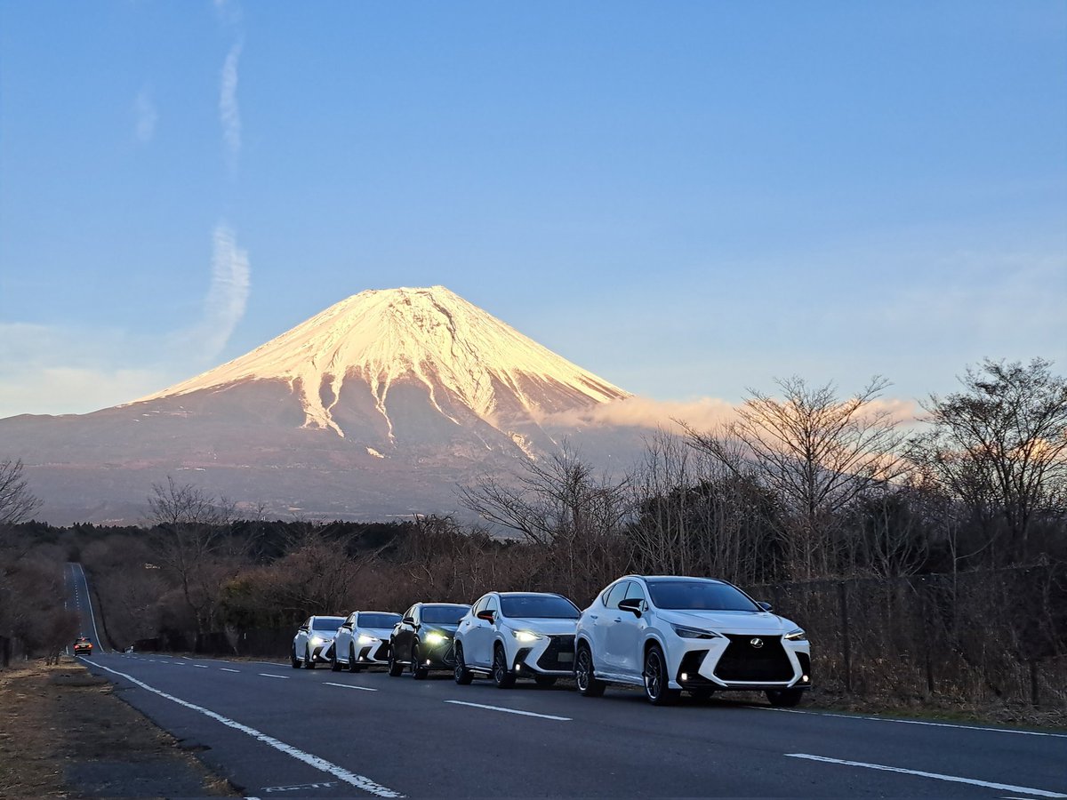 dssy (ディジィー)🟩 tweet media