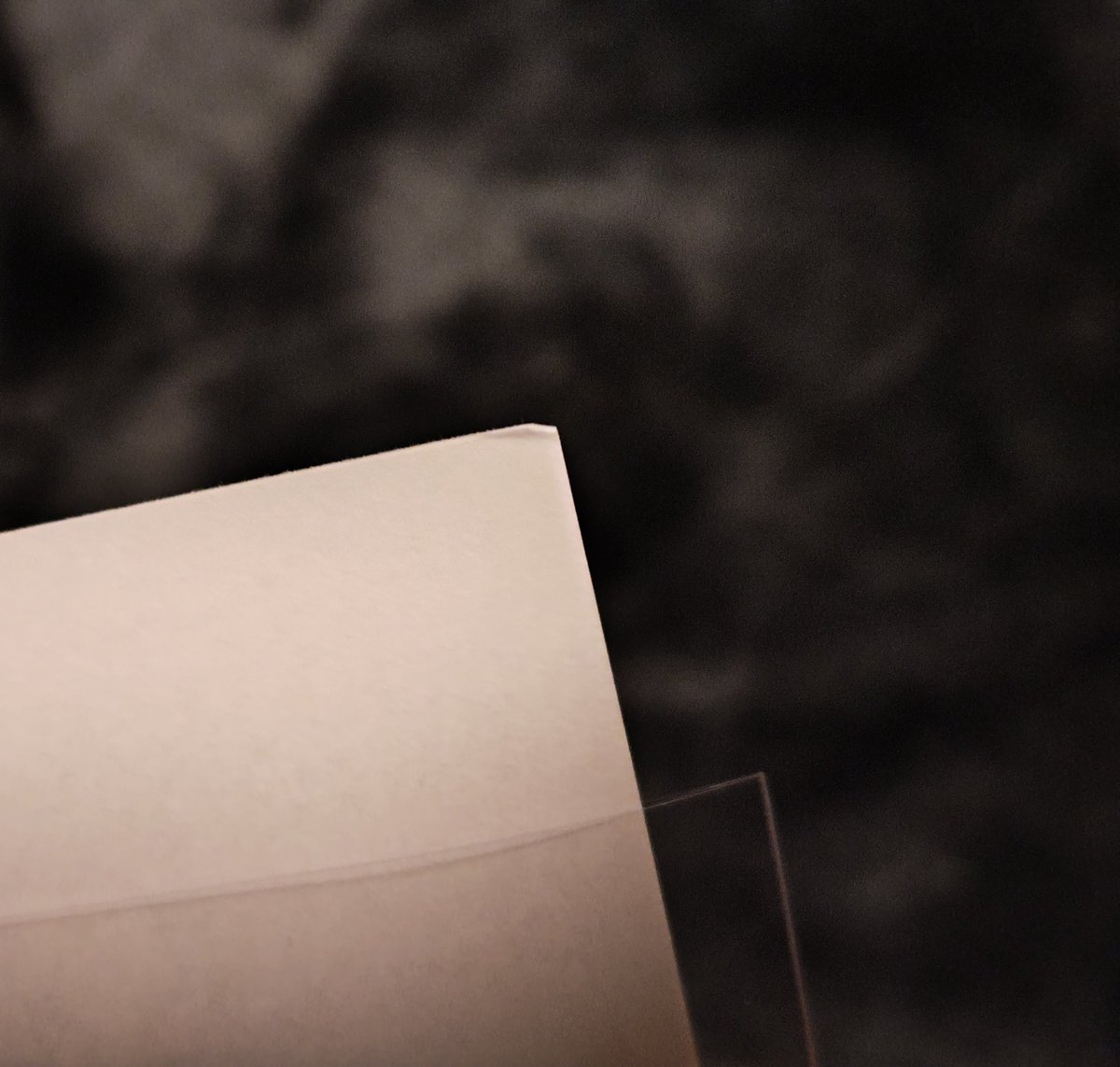 柚木🐿️ tweet media