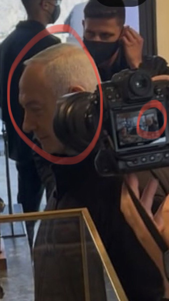 leta late tweet media