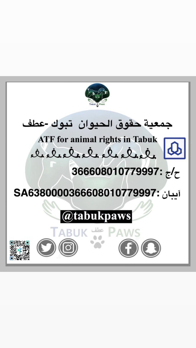 TabukPaws - جمعية عطف tweet media