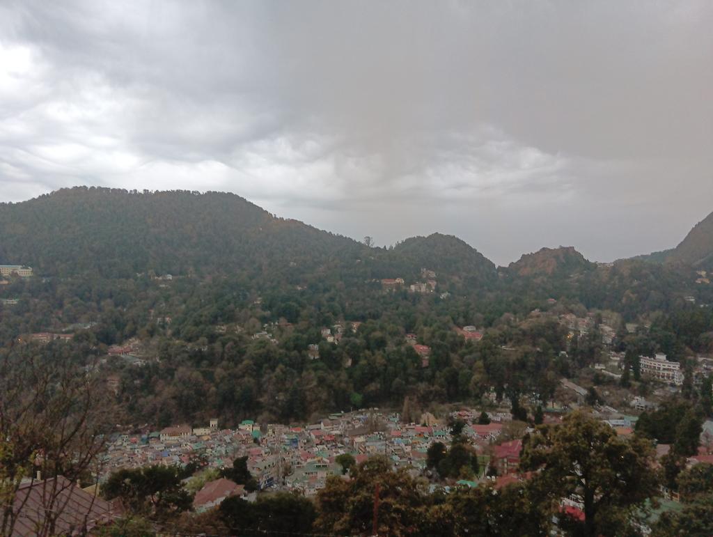 Reeta Pande tweet media