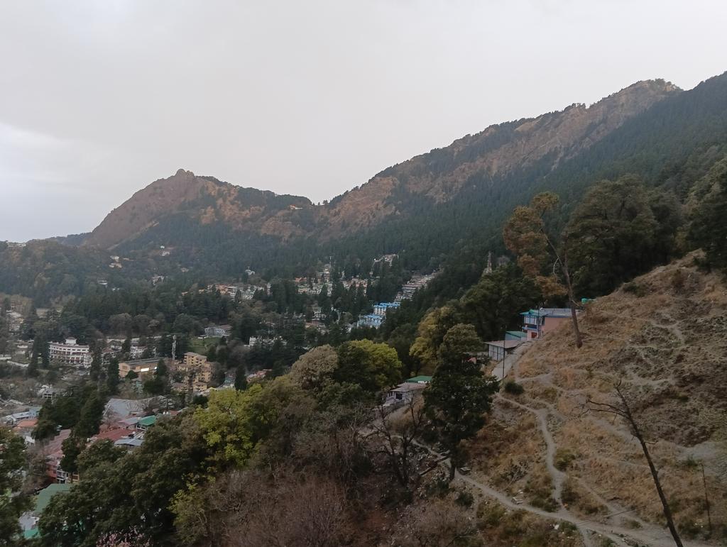 Reeta Pande tweet media