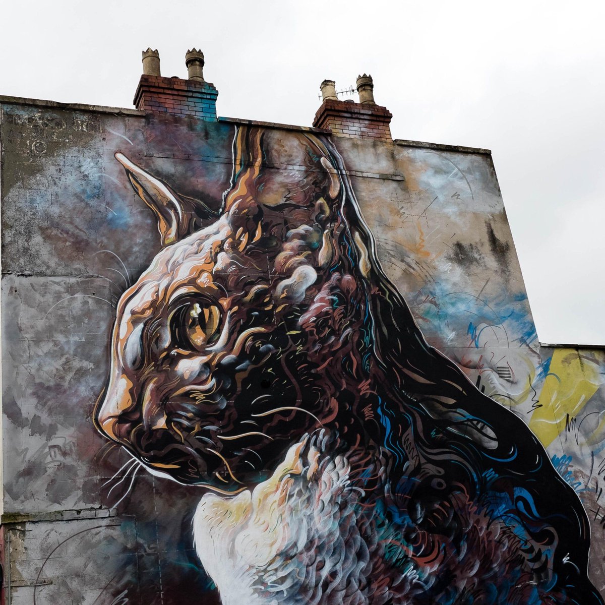 Fundsurfer tweet media